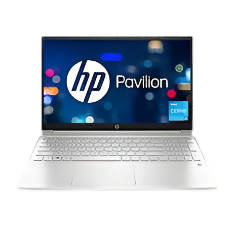 HP Pavilion Business Laptop